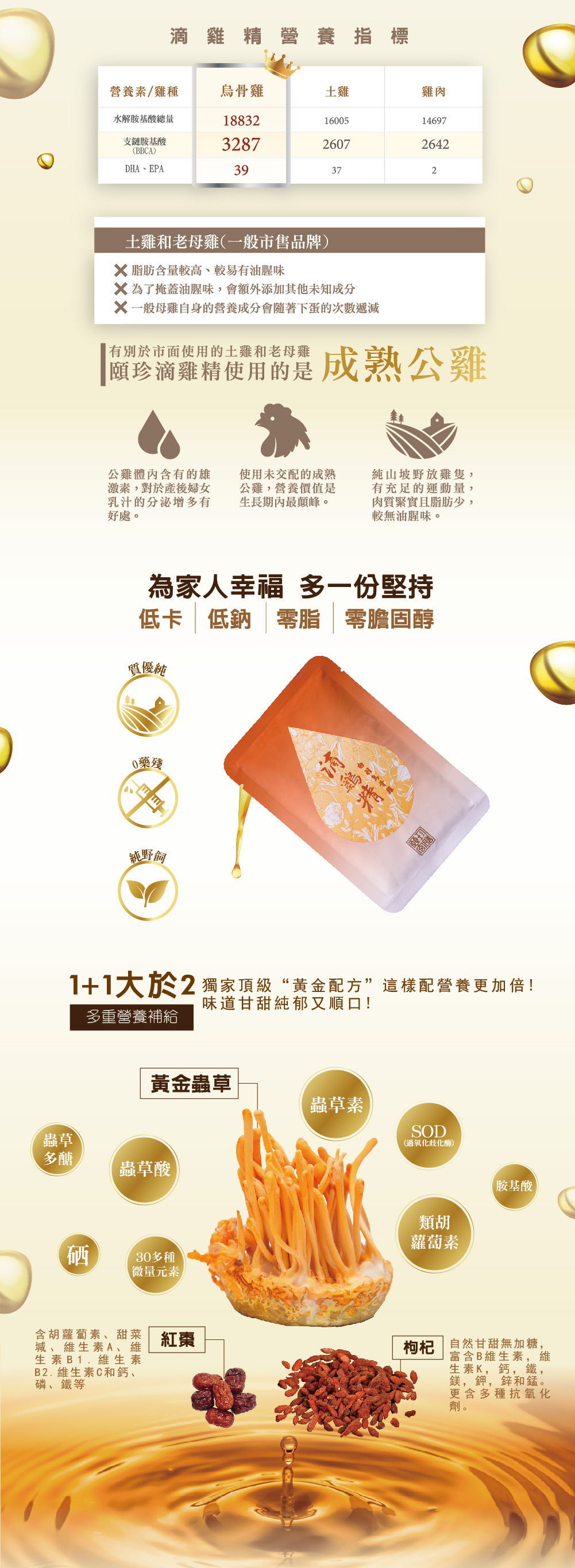 黃金蟲草 滴雞金 白羽烏骨雞 雞湯 蟲草 坐月子 保養