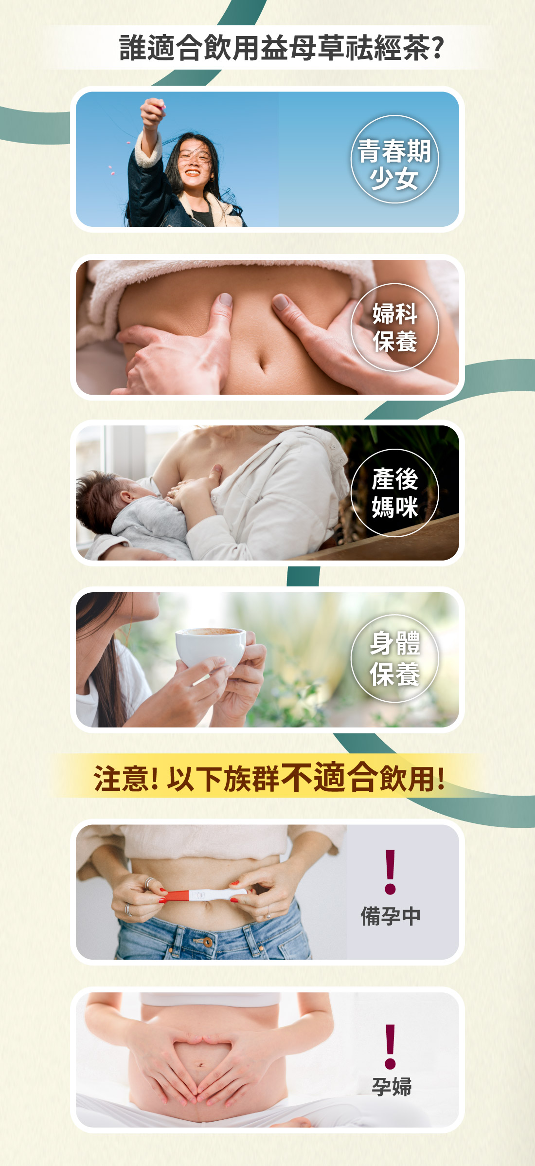 益母草祛經茶